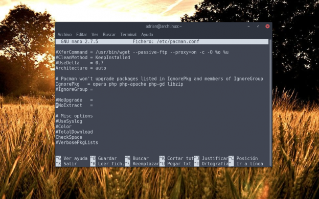 Cómo impedir que un paquete se actualice en ArchLinux