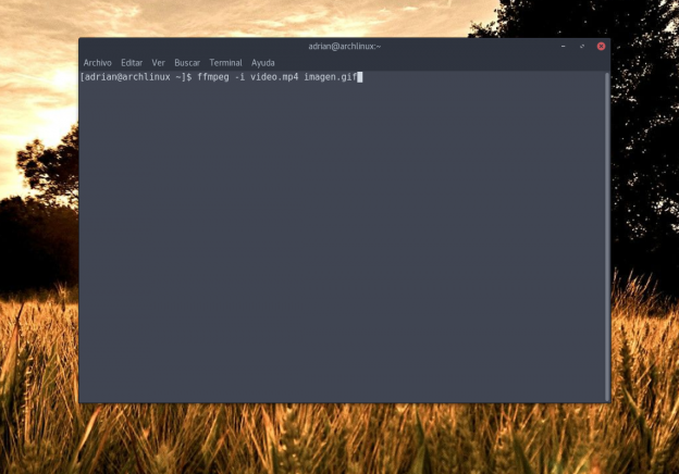 Cómo crear gifs a partir de vídeos usando FFmpeg