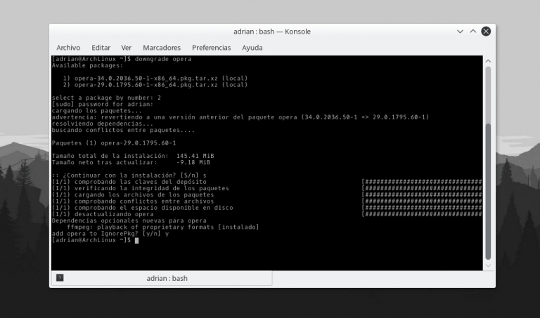 Que Hacer Despues De Instalar Elementary Desarrollo Geek